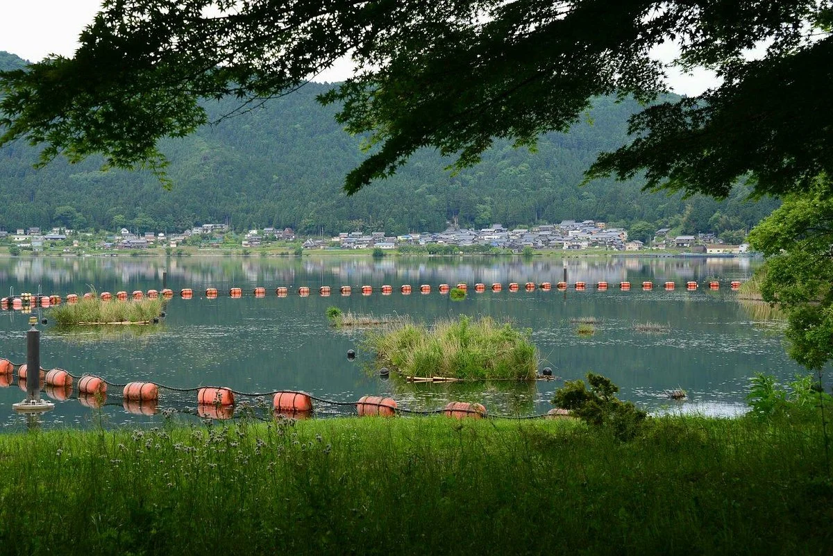 Lake Yogo