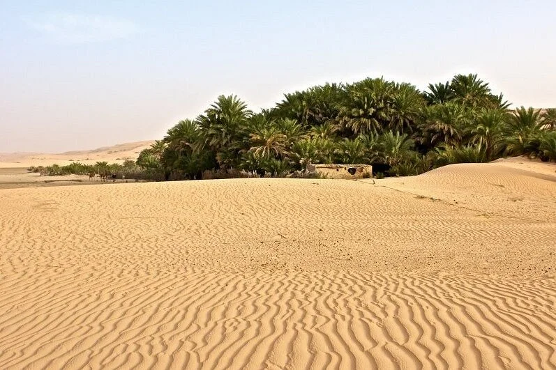 Chinguitty Voyages Mauritania Tours