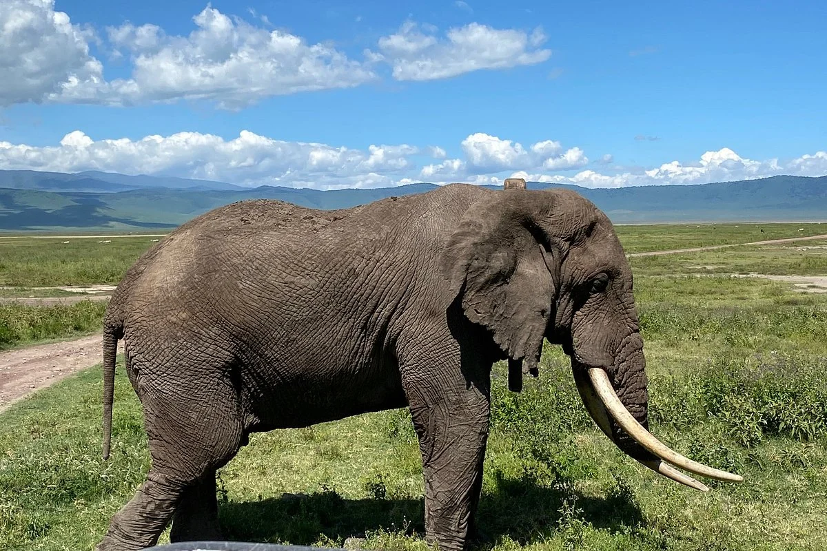 Tanzania Exploration