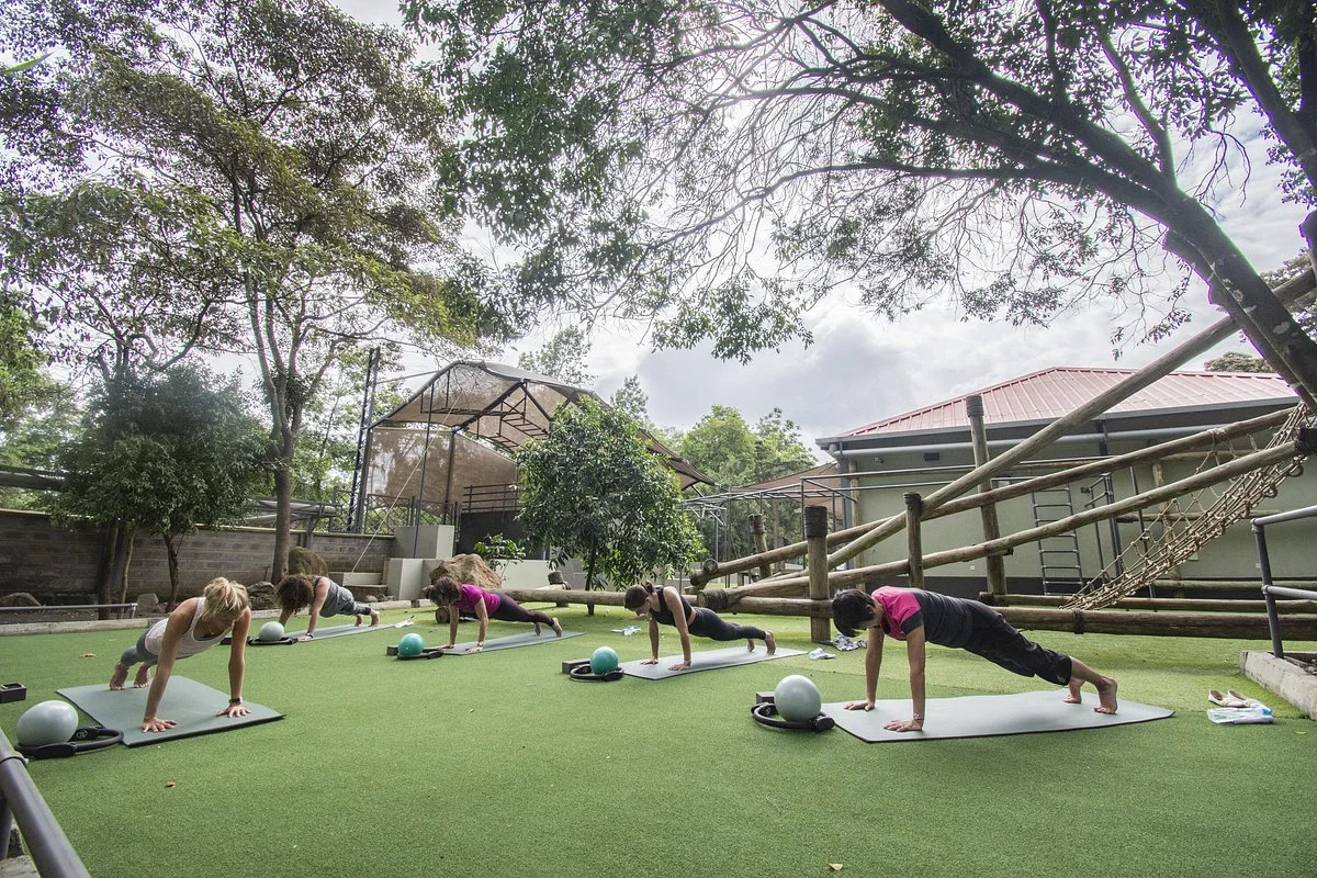 Dojo Wellness Club