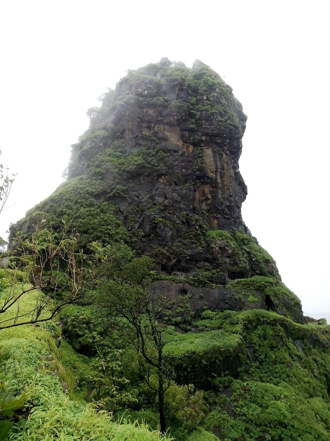 Karnala Bird Sanctuary