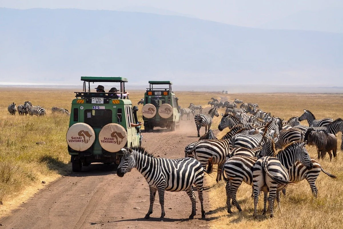 SAFARI VENTURES INC