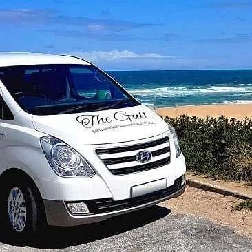 The Gull Tours