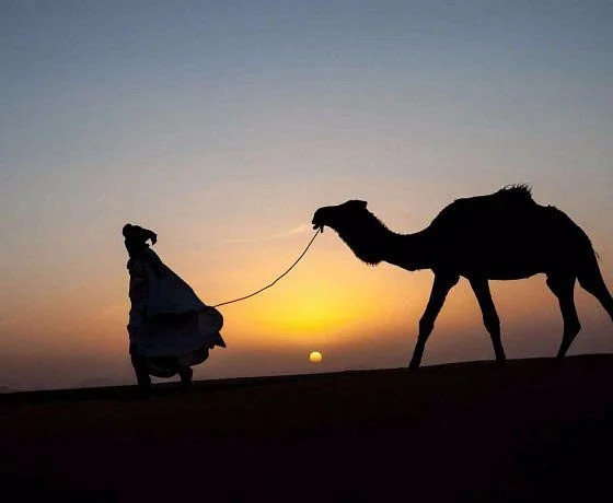 Gorgeous Morocco Tours