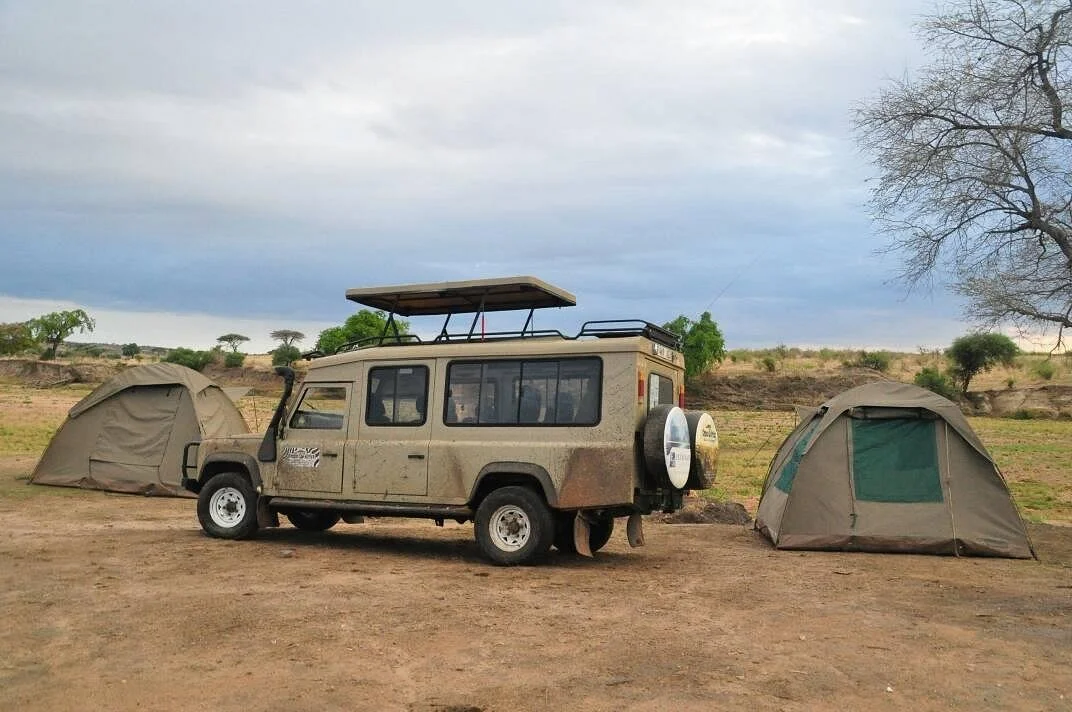 Chabo Africa Safari