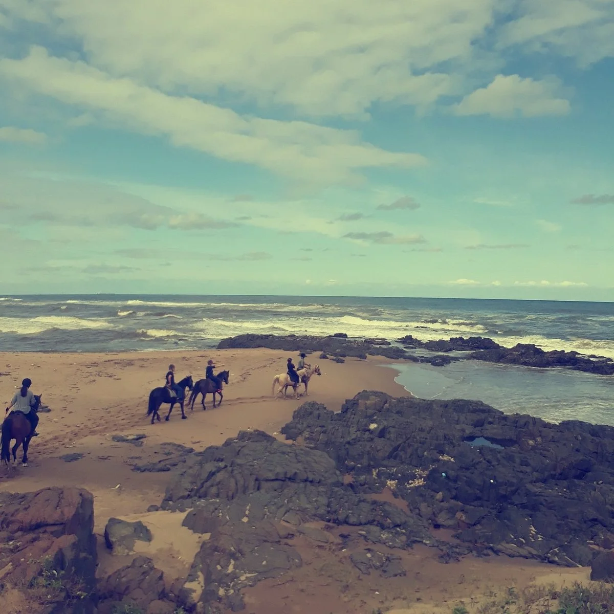Gary's Horses