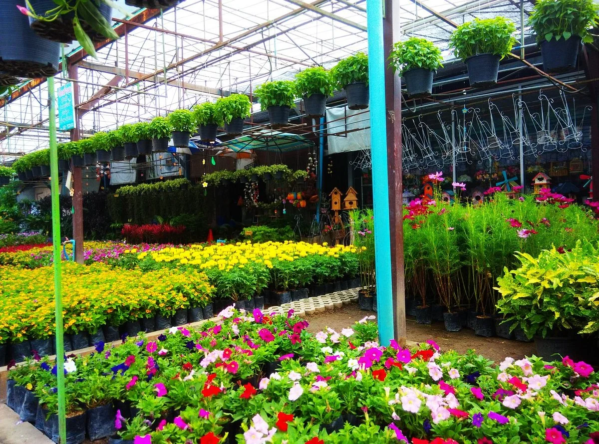 Khamthiang Flower Market