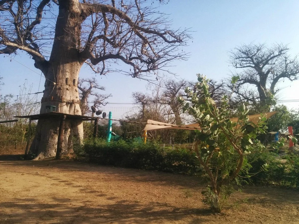 Accro Baobab Adventure