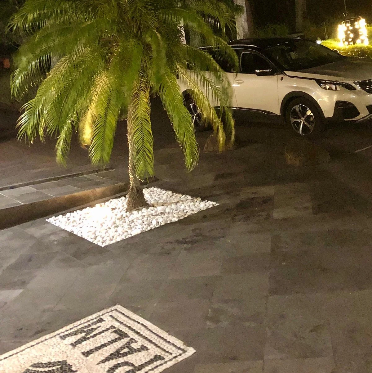 Vtc Exotic