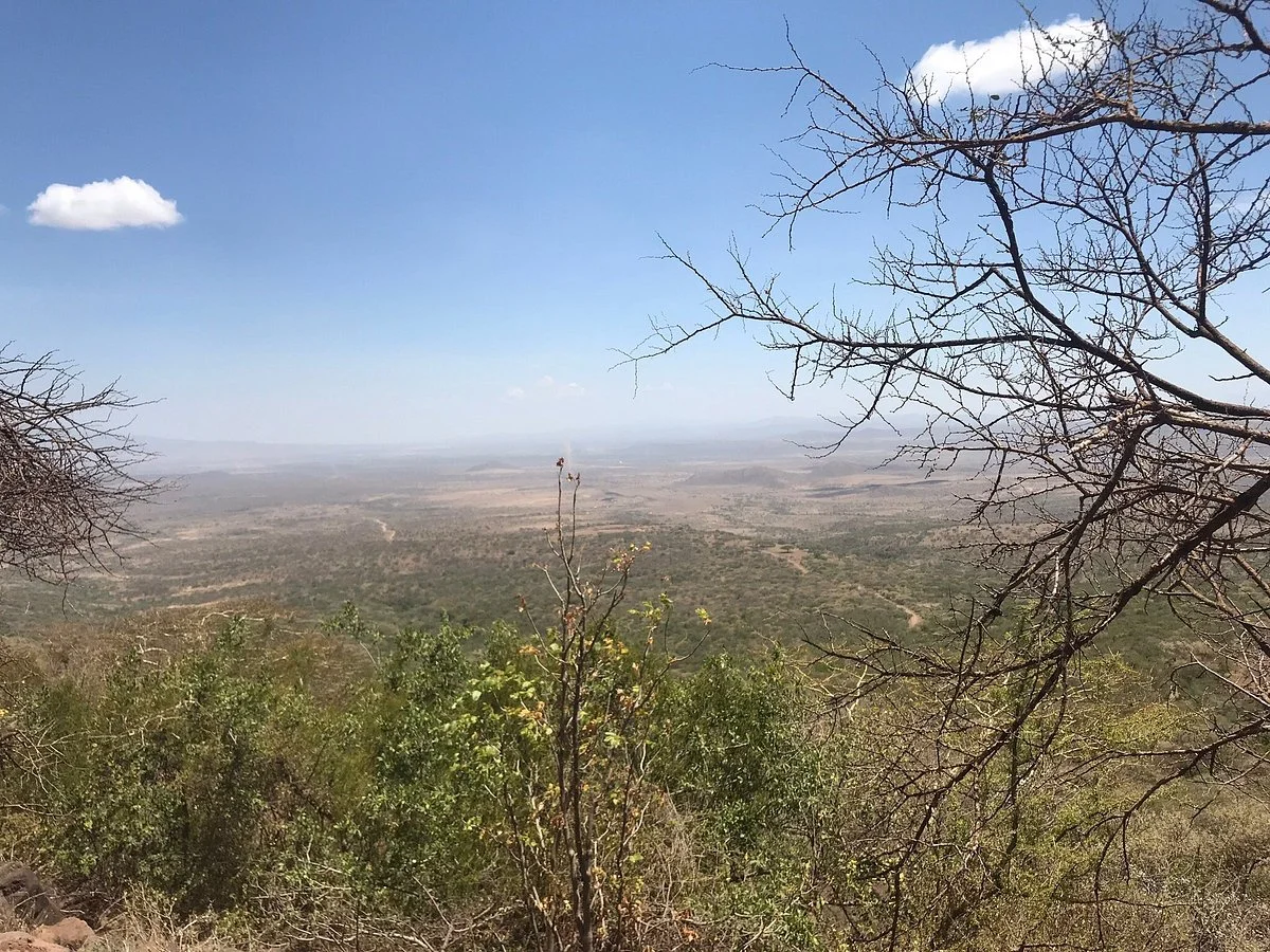 Hamasa Safari