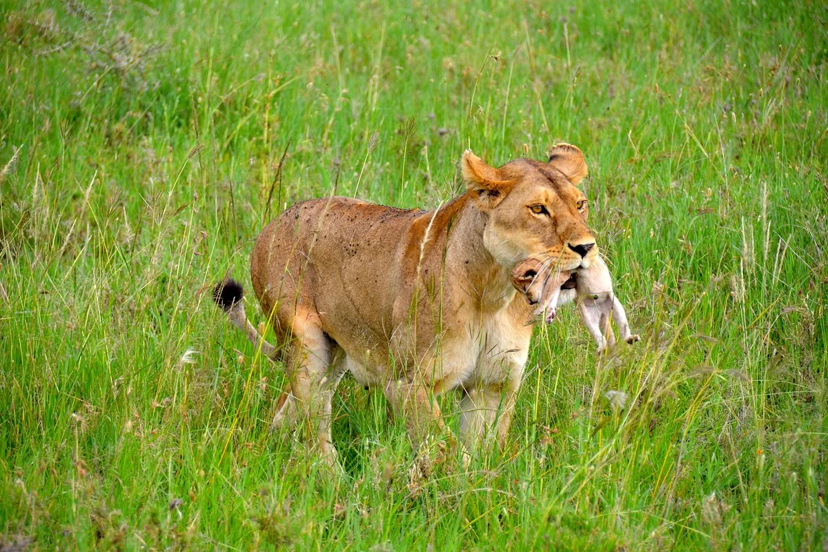 Masafa Africa Adventures