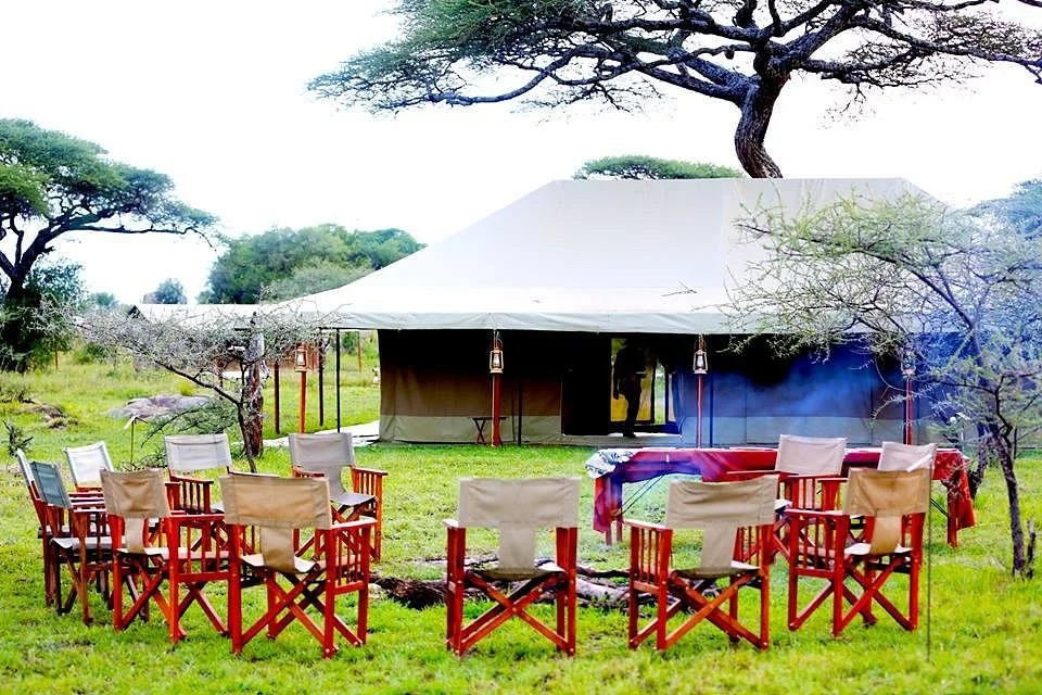 Overland Safaris