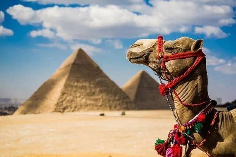 Hurghada Luxor Transfers