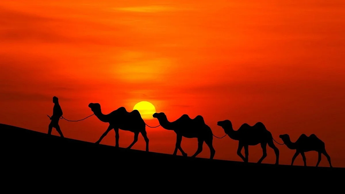 marrakech top excursions