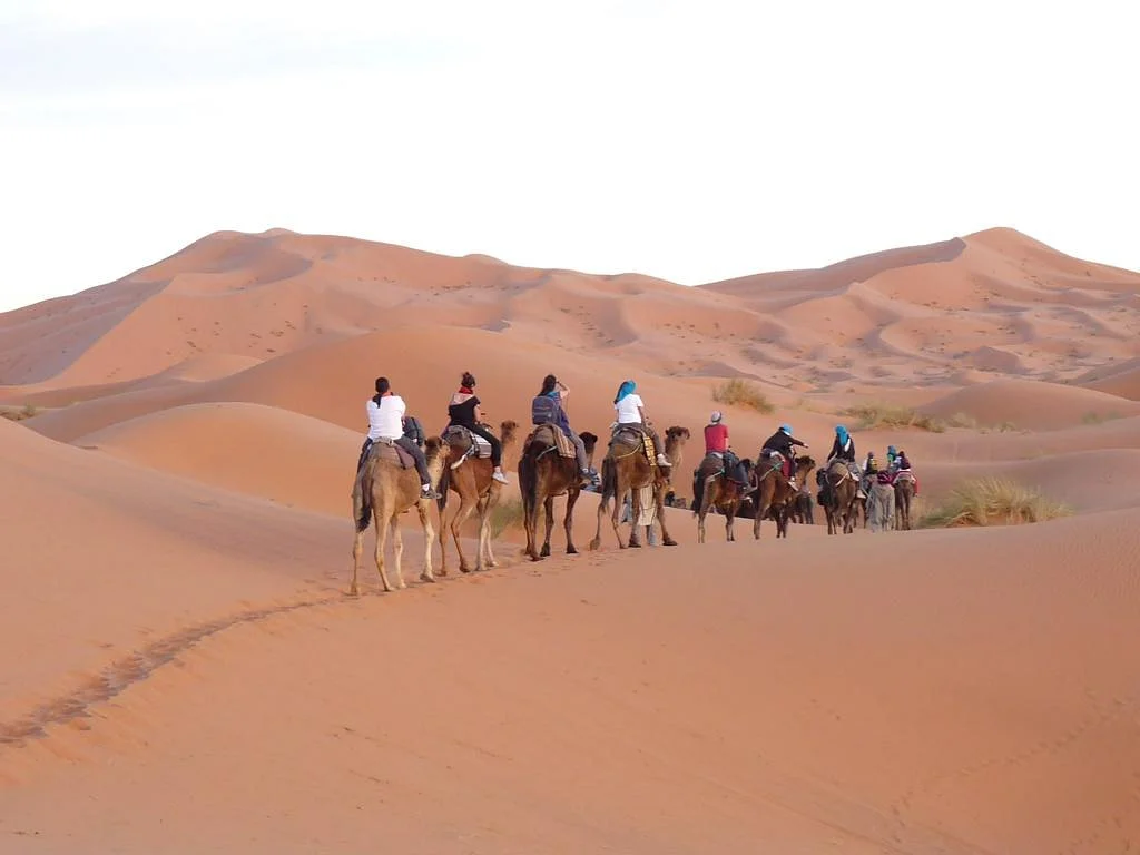 Activity Morocco Tours Private Day Tours