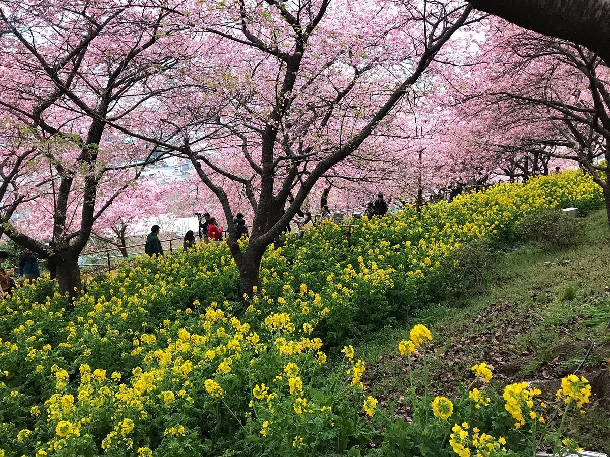 Nishihirahata Park