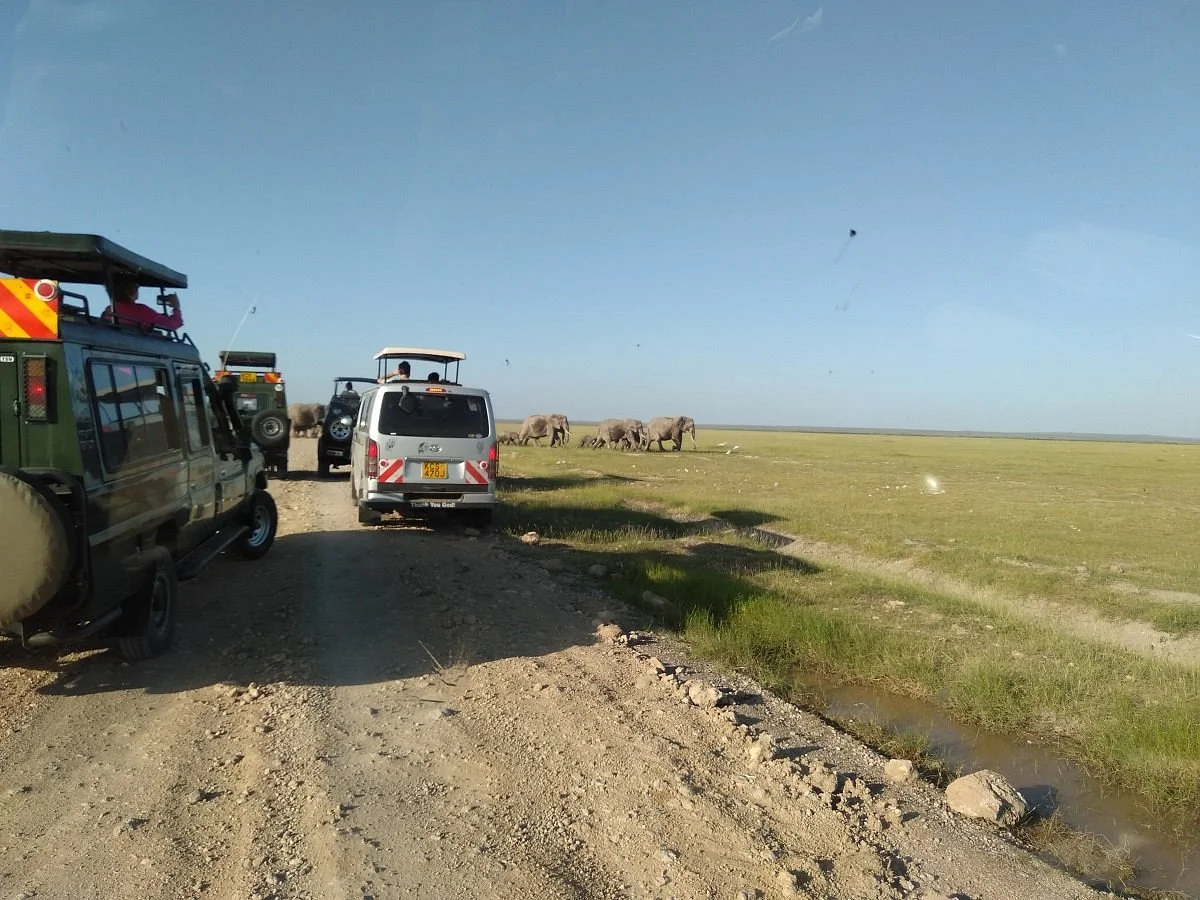 Acquire Adventures Safaris