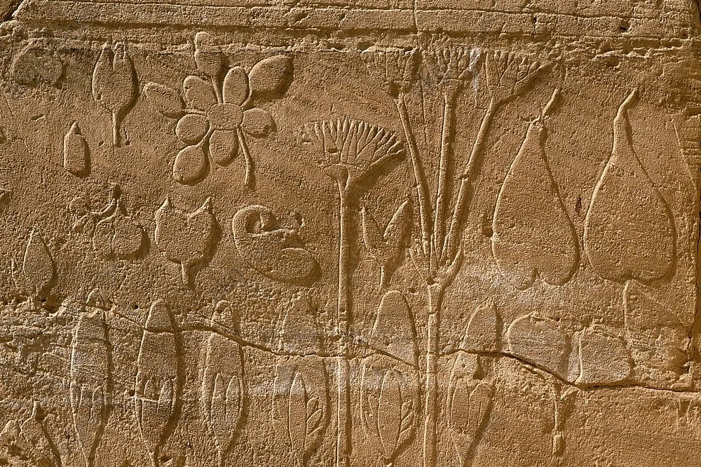 Botanical Garden of Thutmosis III
