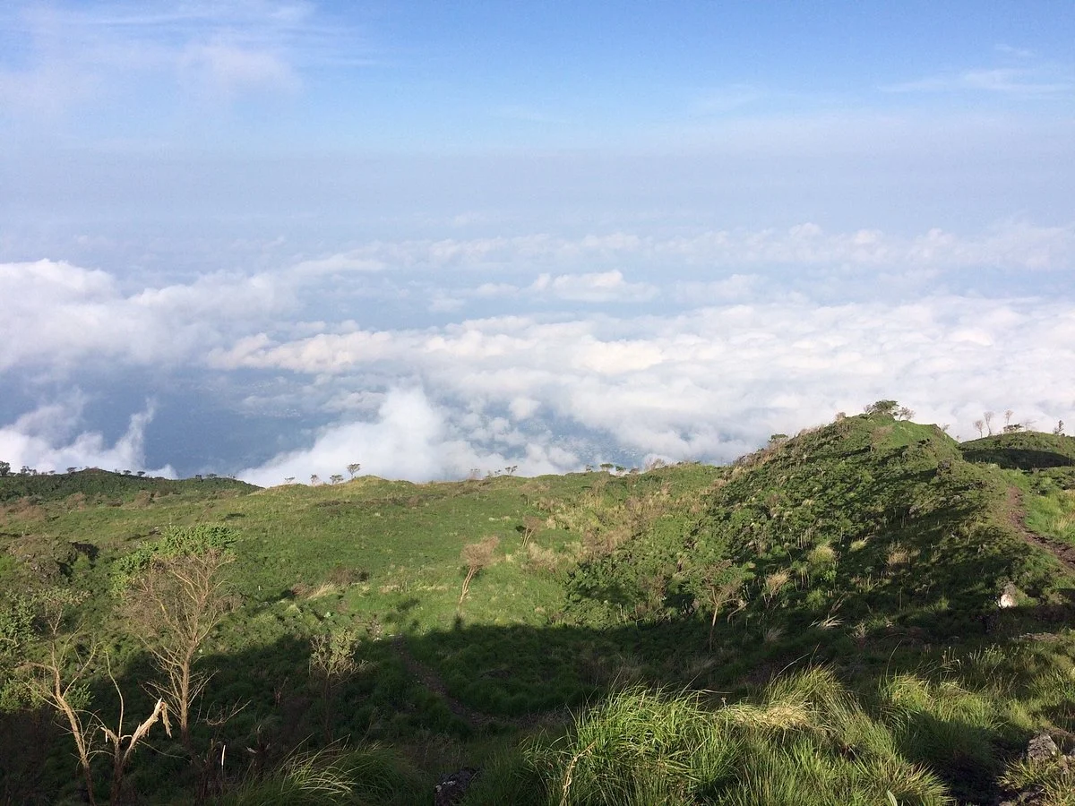 Mount Cameroon Trekking