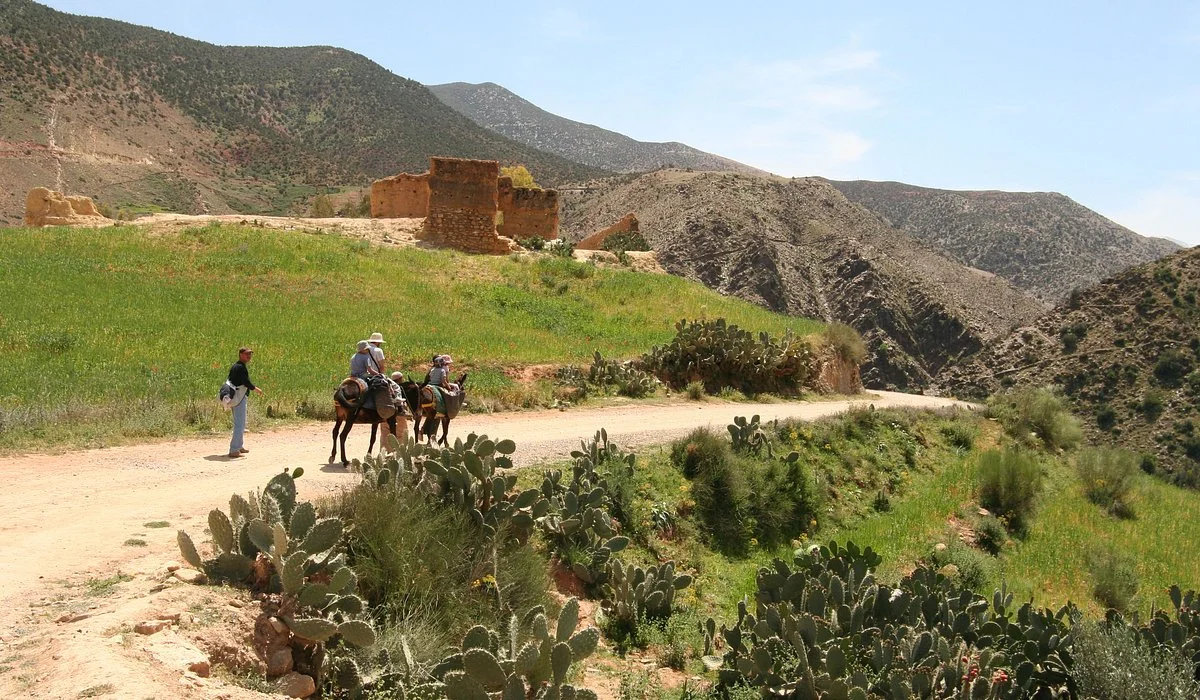 Amazouz Trekking