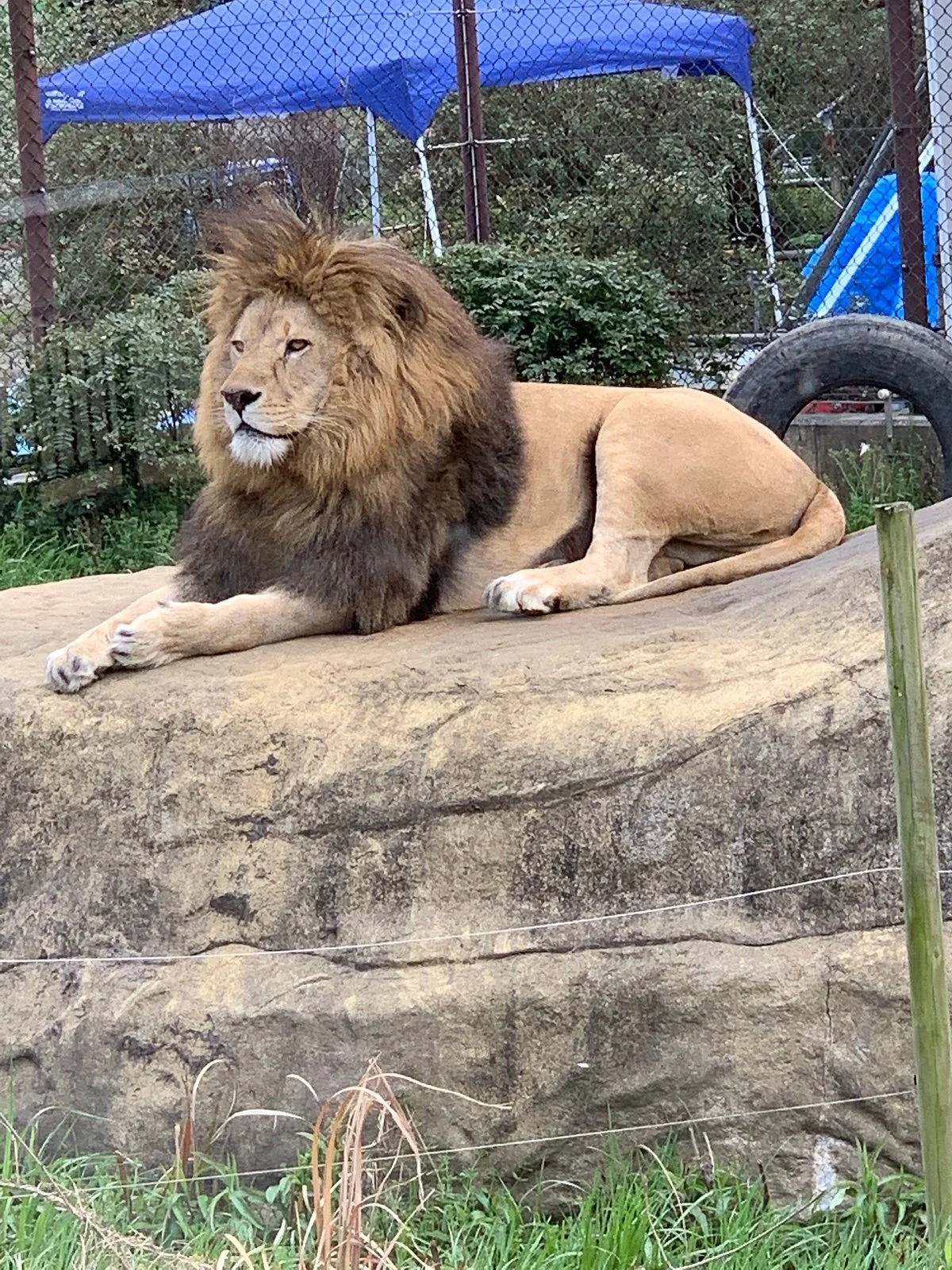Tokushima Zoo