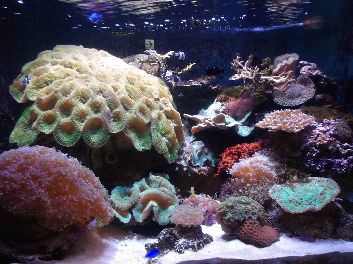 Wakayama Prefectural Museum of Natural History