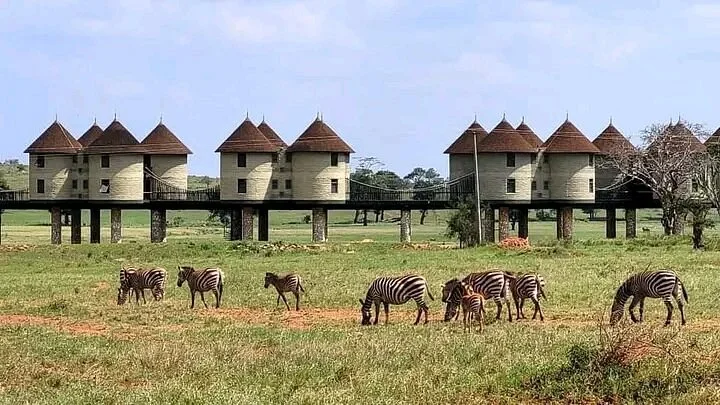 Masai Mara Safari