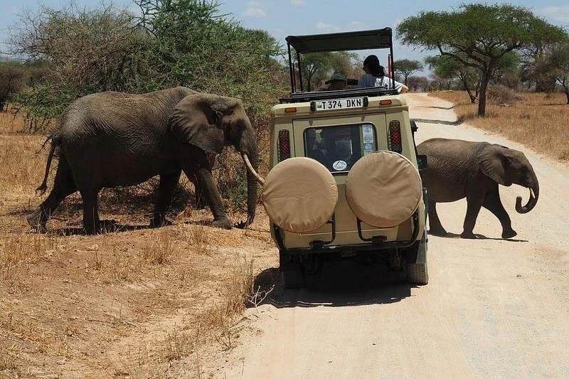 Bufaga Tours and safaris