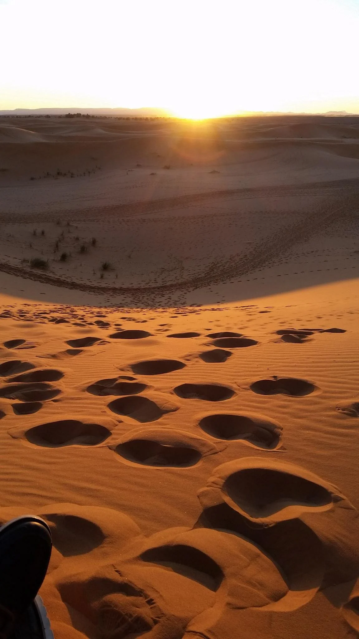 Sunny Morocco Trips