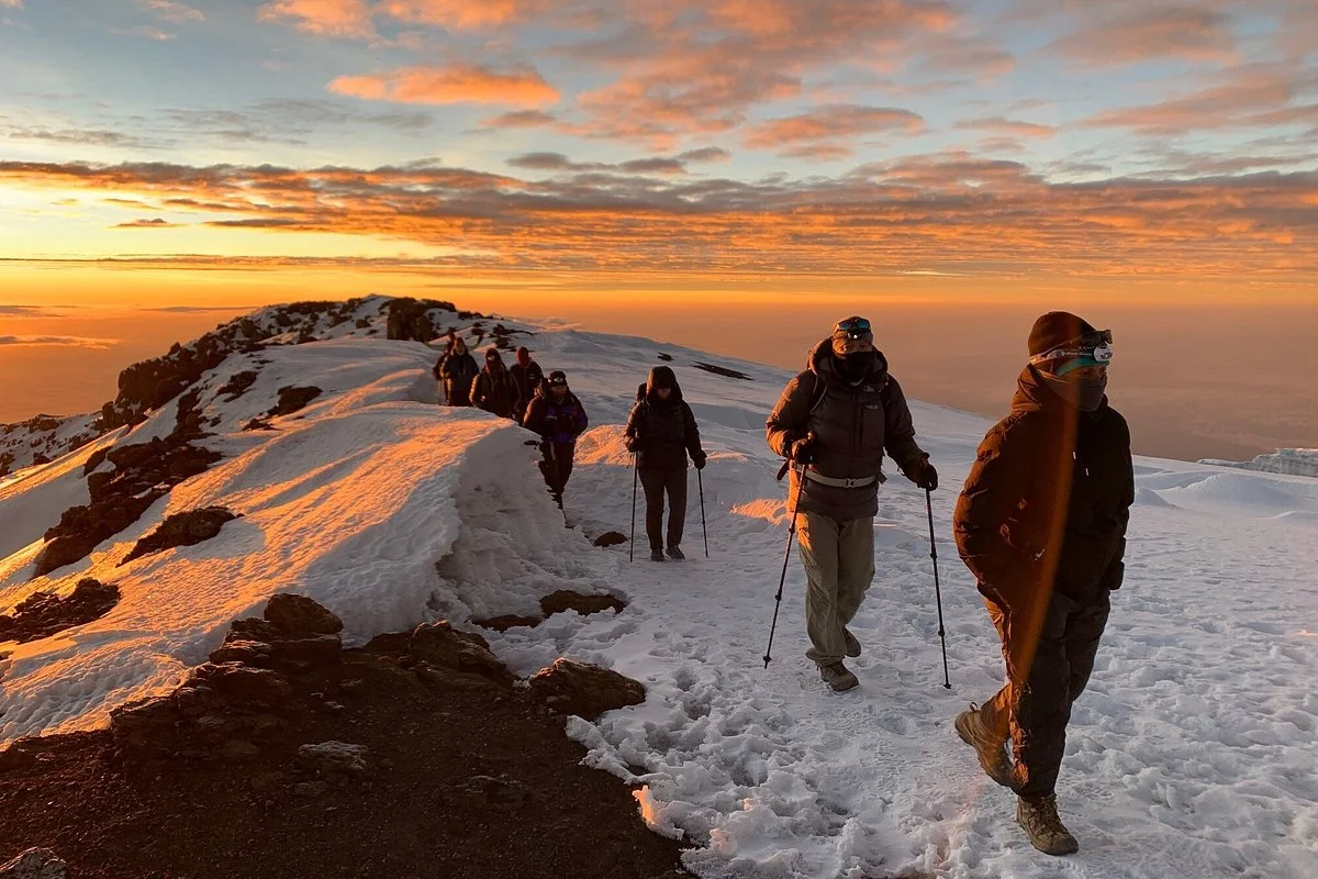 Kilimanjaro Madness