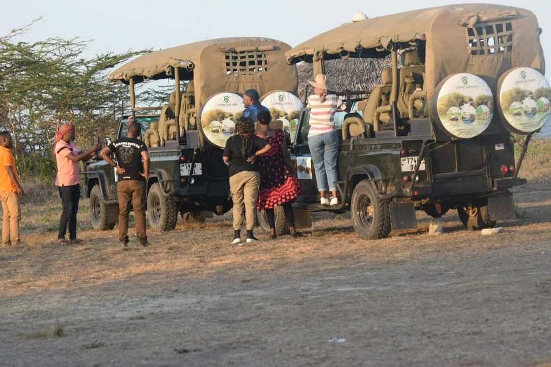 Gome Safaris and Adventures