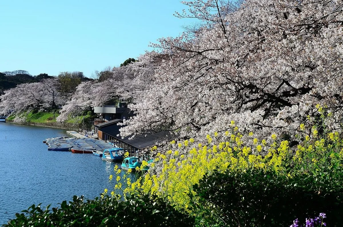 Chidorigafuchi