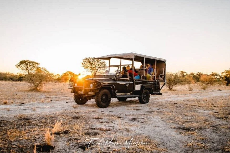 Safari Addicts