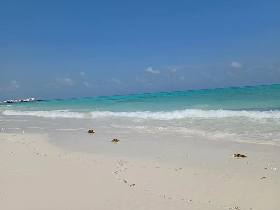 Île Moucha