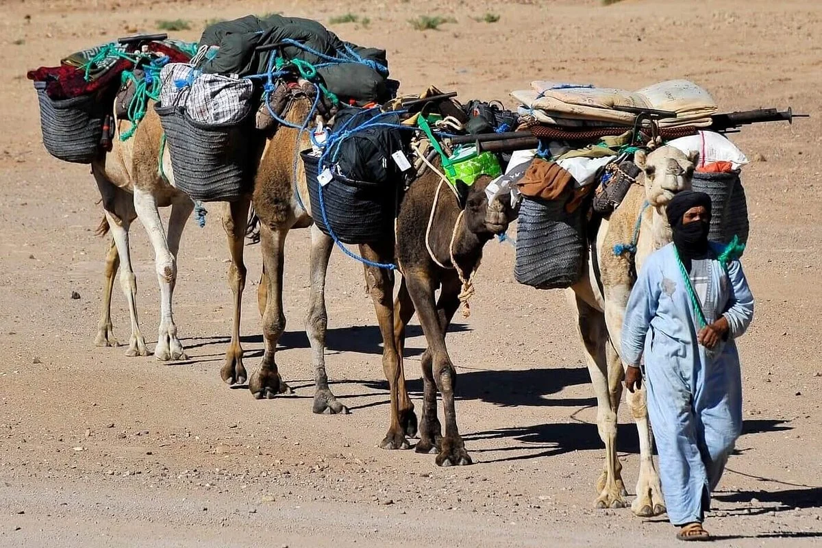 Trek Desert