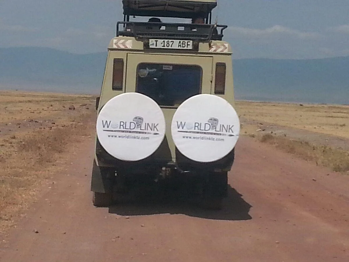 Worldlink Travel and Tours Ltd