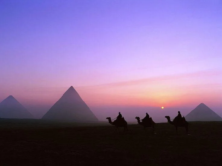 Maydoum Travel