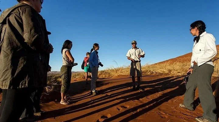 Omahuka Transfers