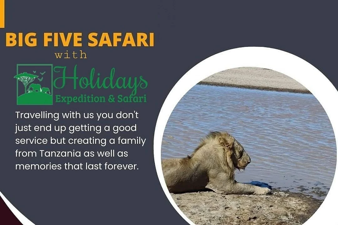 Holiday expedition & safari