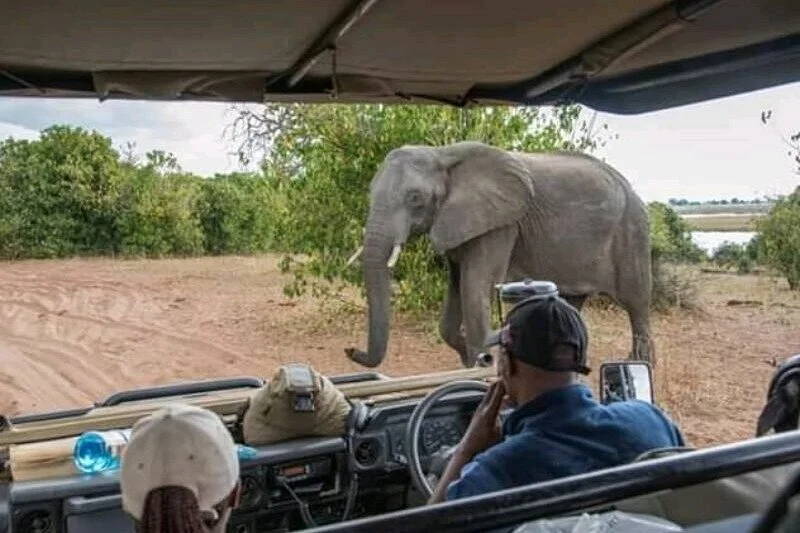 Victoria Falls Tour Hub