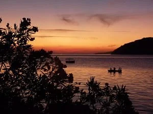 Thumbi View Lodge Activities