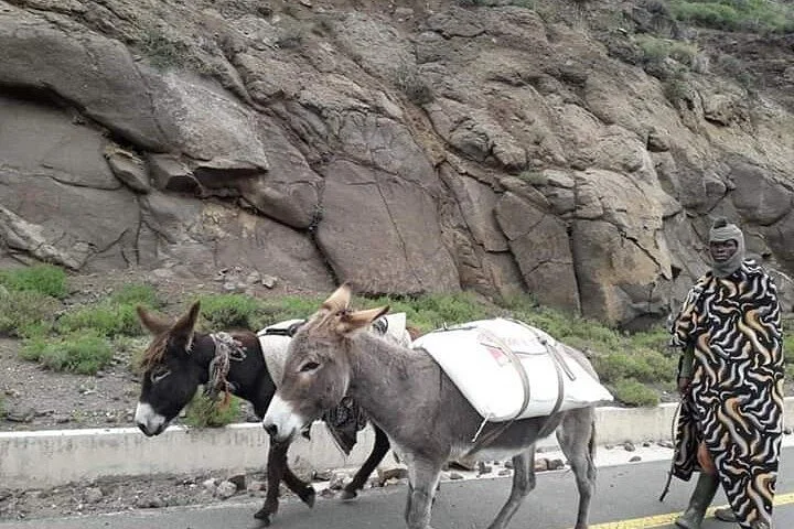 Dithabeng Private Tours (PTY) LTD