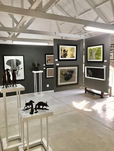 Warren Cary Wildlife Gallery