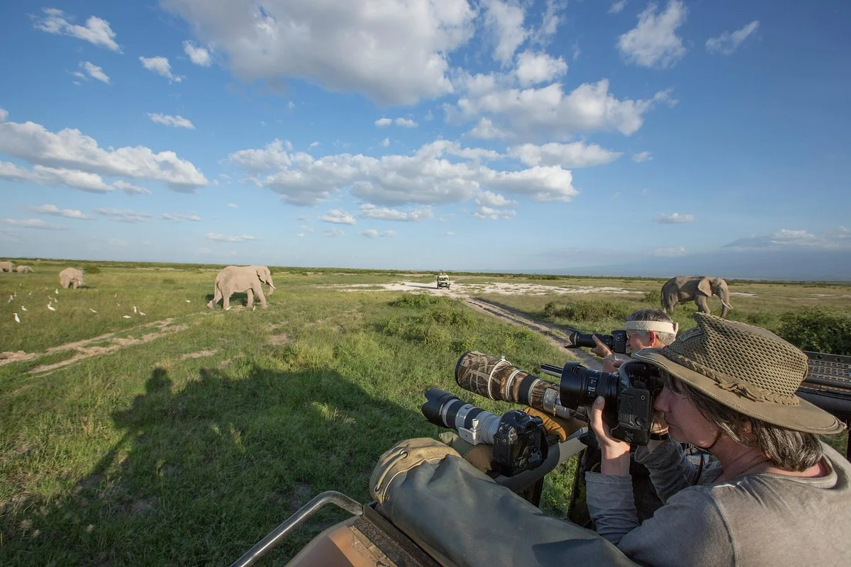 Bravo Expeditions and Safari Company LTD