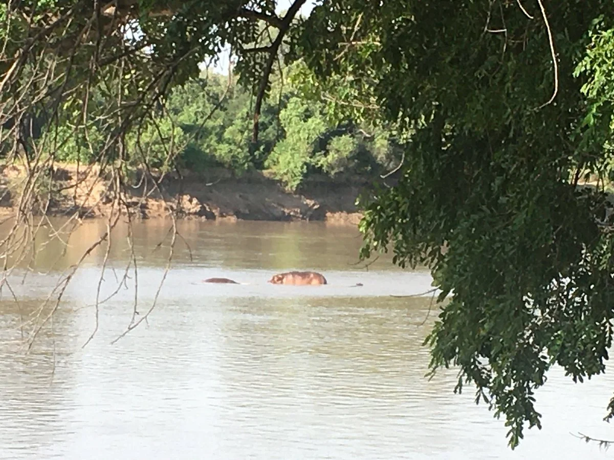 Marula Lodge Safaris