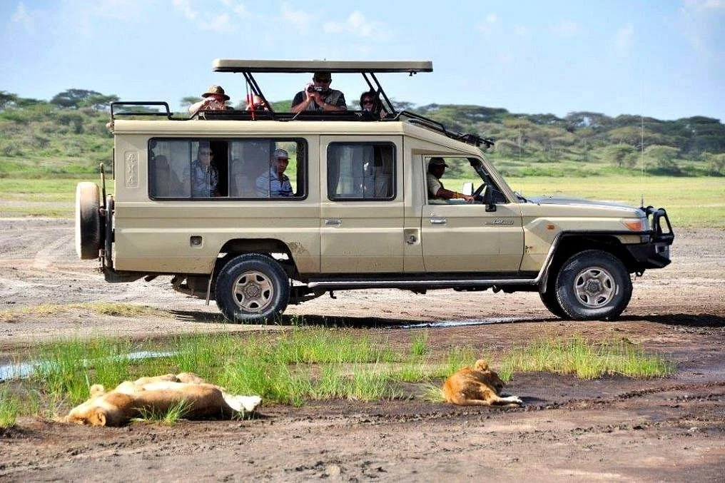 Hillstarprc Safari