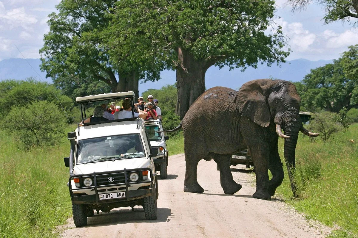 Wonders of Creation Tours and Safaris
