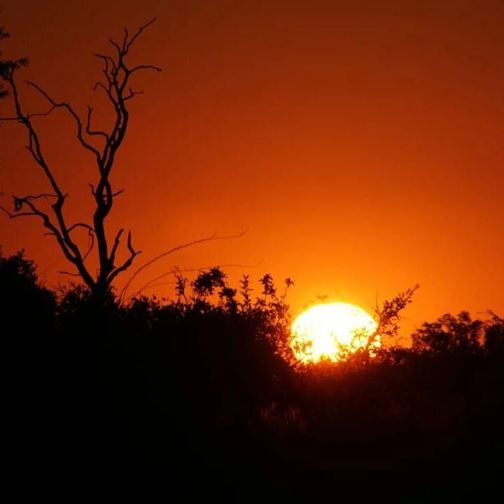 Kalahari Culture & Nature Safaris