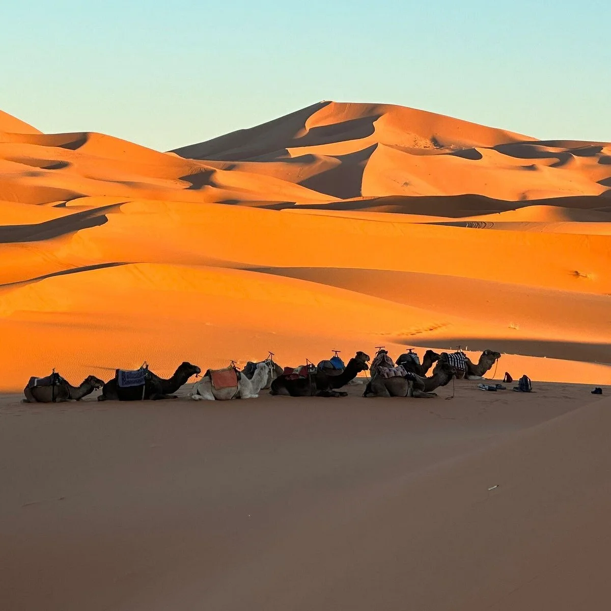 Morocco hunting fossils &Minerals Tours