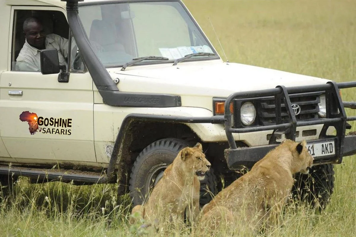 Goshine Safaris Africa